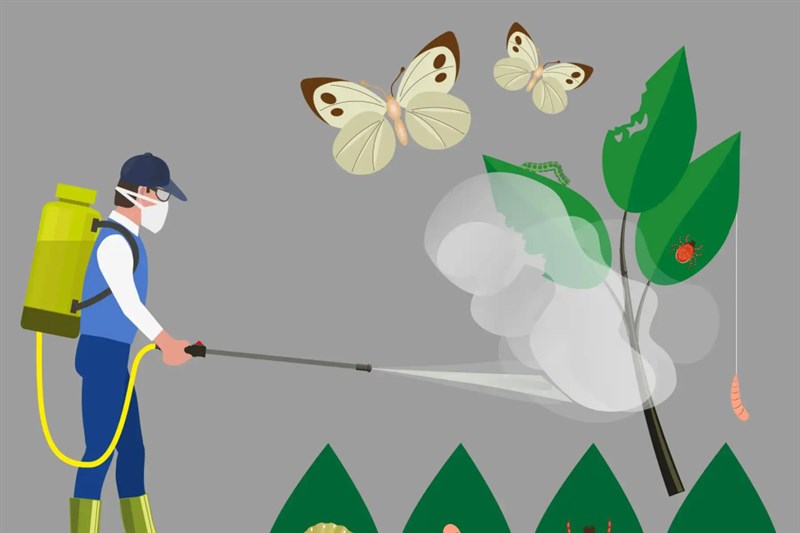 Những dấu hiệu cho thấy sâu bọ, côn trùng đang ngấm ngầm xâm chiếm ngôi nhà của bạn