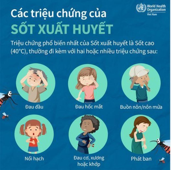 Sốt xuất huyết có lây không?