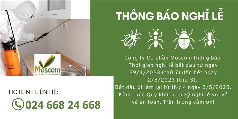 💥THÔNG BÁO NGHỈ LỄ  GIỖ TỔ HÙNG VƯƠNG & 30/4 - 01/05💥