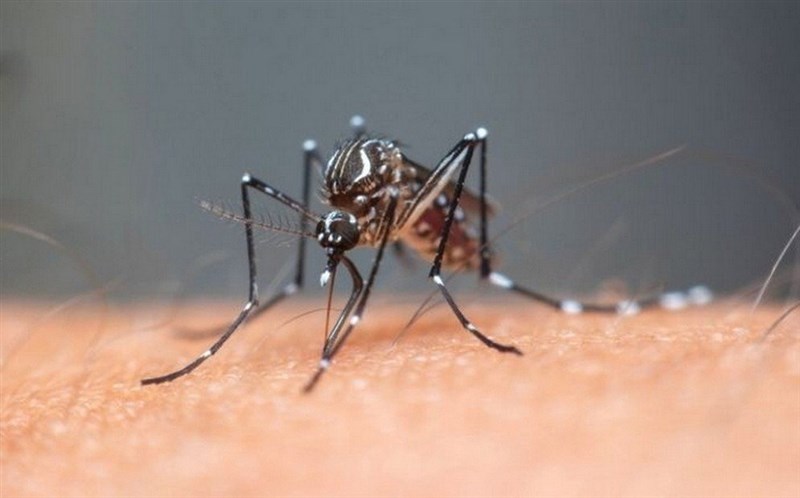 CÔNG TY MOSCOM TRÂN TRỌNG GIỚI THIỆU SẢN PHẨM ĐẶC BIỆT