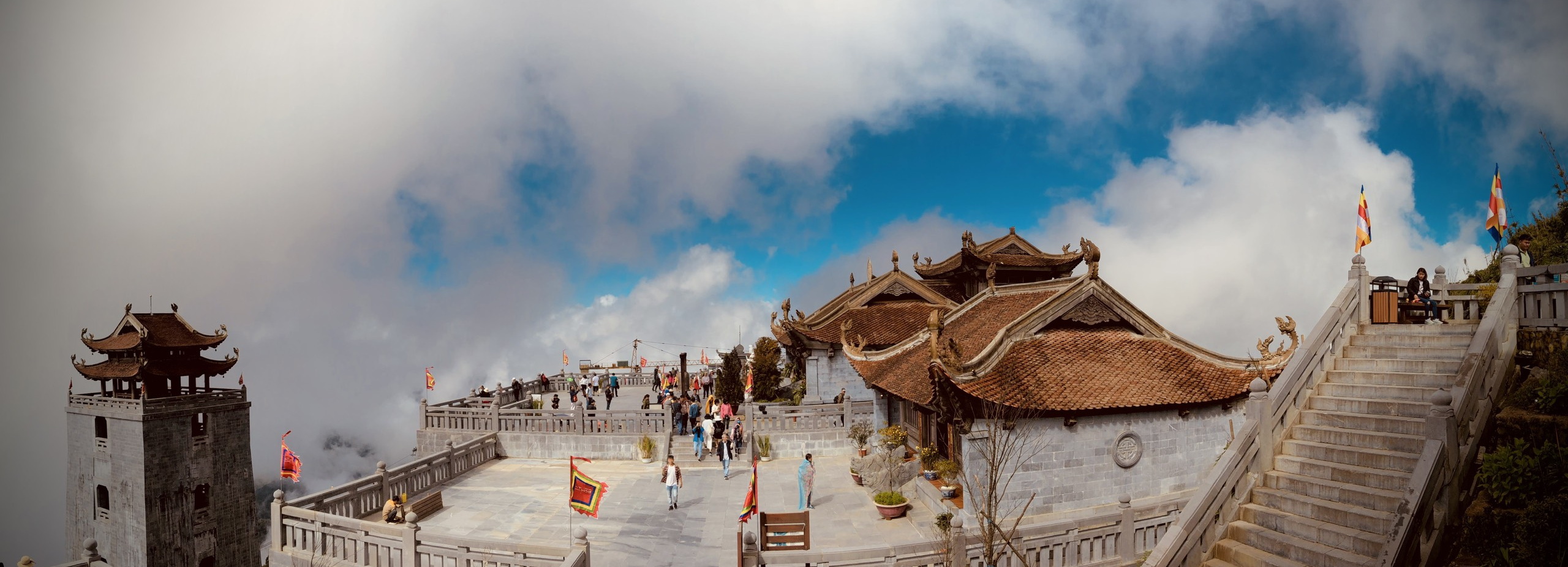 Chuyên gia kiểm soát côn trùng và sinh vật gây hại