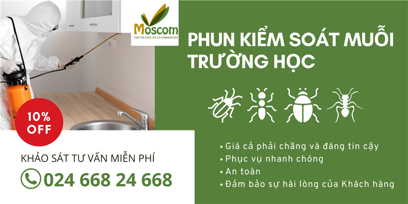 Phun thuốc kiểm soát muỗi và bọ gậy cho Trường học